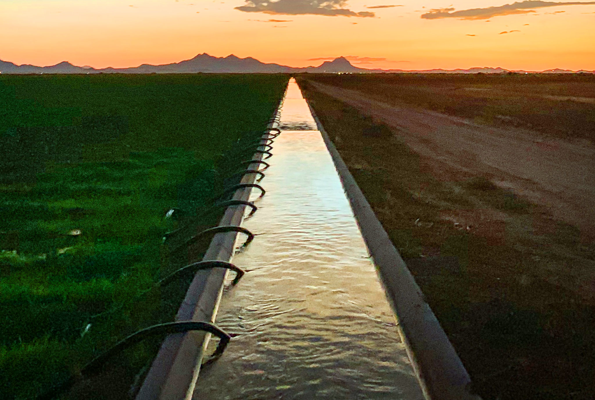 Central Arizona Irrigation & Drainage